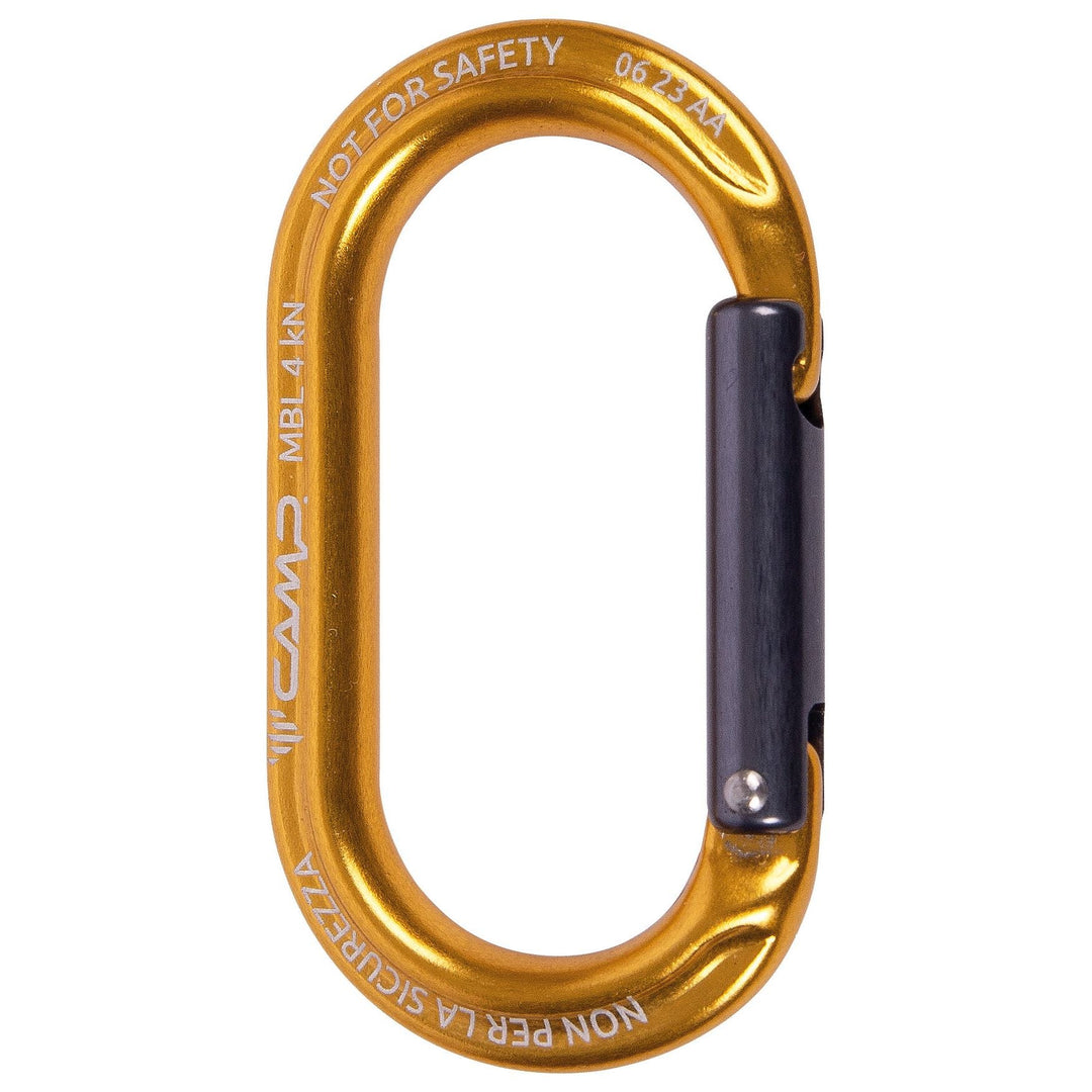 347005_1080x.jpg?v=1728664718