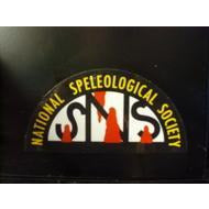 NSS Logo Sticker
